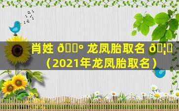 肖姓 🌺 龙凤胎取名 🦄 （2021年龙凤胎取名）